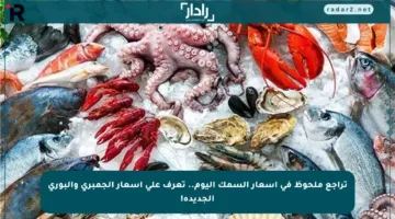 تراجع ملحوظ في أسعار السمك اليوم.. تعرف على أسعار الجمبري والبوري الجديدة!